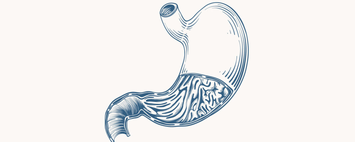 De maag: hoe maagzuur problemen kunnen leiden tot gezondheidsklachten