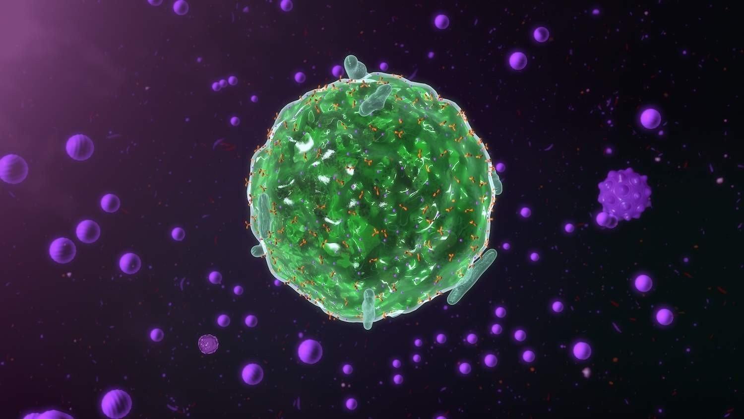 Wat is het Mestcel activatie syndroom (MCAS)?